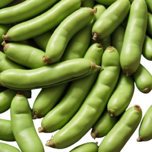 Who Should Not Eat Fava Beans? 