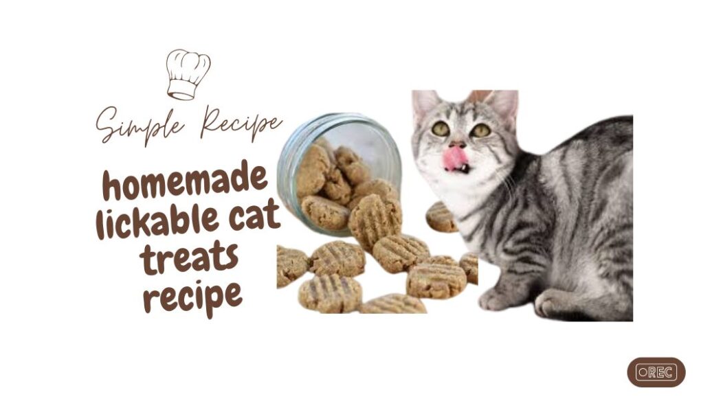 Cats can be finicky eaters, but one thing many feline friends love is lickable treats. These tasty and satisfying treats offer a delightful experience for your cat, and making them at home can save money and ensure they're made with quality ingredients. This comprehensive guide covers everything you need to know about homemade lickable cat treats, from recipes and preparation to storage and safety tips. What Are Lickable Cat Treats? Lickable cat treats are soft, often liquid or semi-liquid treats designed for cats to lap up. They’re a great way to give your cat a tasty reward, provide hydration, or simply make mealtime more enjoyable. Homemade versions allow you to control the ingredients, avoiding preservatives and additives found in commercial treats. Benefits of Homemade Lickable Cat Treats Quality Control: Use fresh, high-quality ingredients. Customization: Tailor recipes to suit your cat’s preferences or dietary needs. Cost-Effective: Save money compared to store-bought treats. Healthier Options: Avoid artificial additives and preservatives. Essential Ingredients for Lickable Cat Treats The basic ingredients for lickable cat treats include: Protein Source: Chicken, tuna, or liver Liquid: Water or broth Optional Add-Ins: Vegetables or fish pieces Popular Homemade Lickable Cat Treat Recipes Here are some easy and delicious recipes for homemade lickable cat treats: 1. Simple Chicken Lickable Treats Ingredients: 1 chicken breast (or alternative protein) Water Directions: Boil Chicken: Fill a pot with enough water to cover the chicken. Bring to a boil and add the chicken. Cook for 5-6 minutes, or until the chicken is fully cooked through. Prepare Chicken: Cut the chicken into small pieces for easier processing. Blend: Use a blender or food processor to puree the chicken with some of the cooking water until smooth. Store: Transfer the mixture to an airtight container. Store in the fridge for up to 3 days. 2. Churu Copycat Treats Ingredients: 4 oz. chicken 4 tablespoons water Directions: Prepare Chicken: Measure out 4 oz. of chicken.Fill a pot with enough water to cover the chicken and bring it to a boil. Cook Chicken: Add the chicken and cook for 5-6 minutes, or until no longer pink in the center. Blend: Cut the chicken into small pieces and blend with 4 tablespoons of water until smooth. Bottle: Pour into a plastic squeeze bottle using a funnel. Cut the tip of the bottle to make the hole slightly larger. Comparative Table: Store-Bought vs. Homemade Lickable Cat Treats Feature Store-Bought Lickable Treats Homemade Lickable Treats Ingredients May contain additives Fresh and customizable Cost Higher Lower Quality Control Less control Full control Preparation Time Ready-to-serve Requires preparation Storage Often has a long shelf life Shorter shelf life FAQs About Homemade Lickable Cat Treats Can I use any type of meat for lickable treats? A: Yes, you can use chicken, turkey, beef, or fish. Ensure the meat is cooked and free from seasoning or additives. How long do homemade lickable cat treats last? A: They typically last 3-5 days in the refrigerator. For longer storage, you can freeze them in small portions. Can I use canned food in these recipes? A: Yes, you can substitute canned cat food for the protein source in some recipes. Ensure it is suitable for your cat's dietary needs. What if my cat is allergic to certain ingredients? A: Substitute any allergenic ingredients with alternatives like rice flour instead of wheat flour or use hypoallergenic proteins like lamb or duck. Tips for Making Lickable Cat Treats Use Fresh Ingredients: Fresh meat or fish ensures a tastier treat. Avoid Seasonings: Do not add salt, garlic, or other seasonings that can be harmful to cats. Monitor Consistency: The treat should be smooth and paste-like, similar to commercial lickable treats. Portion Control: Serve treats in moderation to avoid overfeeding. Storage and Handling Refrigeration: Store homemade treats in an airtight container in the refrigerator. Freezing: For longer storage, freeze in small portions and thaw before serving. Hygiene: Always use clean utensils and containers to prevent contamination. Conclusion Making homemade lickable cat treats is a rewarding way to show your feline friend just how much you care. With these simple recipes and tips, you can create nutritious, delicious treats that cater to your cat's tastes and dietary needs. Not only will your cat appreciate the effort, but you'll also enjoy the peace of mind that comes with knowing exactly what goes into their treats.