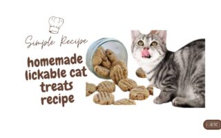 Cats can be finicky eaters, but one thing many feline friends love is lickable treats. These tasty and satisfying treats offer a delightful experience for your cat, and making them at home can save money and ensure they're made with quality ingredients. This comprehensive guide covers everything you need to know about homemade lickable cat treats, from recipes and preparation to storage and safety tips. What Are Lickable Cat Treats? Lickable cat treats are soft, often liquid or semi-liquid treats designed for cats to lap up. They’re a great way to give your cat a tasty reward, provide hydration, or simply make mealtime more enjoyable. Homemade versions allow you to control the ingredients, avoiding preservatives and additives found in commercial treats. Benefits of Homemade Lickable Cat Treats Quality Control: Use fresh, high-quality ingredients. Customization: Tailor recipes to suit your cat’s preferences or dietary needs. Cost-Effective: Save money compared to store-bought treats. Healthier Options: Avoid artificial additives and preservatives. Essential Ingredients for Lickable Cat Treats The basic ingredients for lickable cat treats include: Protein Source: Chicken, tuna, or liver Liquid: Water or broth Optional Add-Ins: Vegetables or fish pieces Popular Homemade Lickable Cat Treat Recipes Here are some easy and delicious recipes for homemade lickable cat treats: 1. Simple Chicken Lickable Treats Ingredients: 1 chicken breast (or alternative protein) Water Directions: Boil Chicken: Fill a pot with enough water to cover the chicken. Bring to a boil and add the chicken. Cook for 5-6 minutes, or until the chicken is fully cooked through. Prepare Chicken: Cut the chicken into small pieces for easier processing. Blend: Use a blender or food processor to puree the chicken with some of the cooking water until smooth. Store: Transfer the mixture to an airtight container. Store in the fridge for up to 3 days. 2. Churu Copycat Treats Ingredients: 4 oz. chicken 4 tablespoons water Directions: Prepare Chicken: Measure out 4 oz. of chicken.Fill a pot with enough water to cover the chicken and bring it to a boil. Cook Chicken: Add the chicken and cook for 5-6 minutes, or until no longer pink in the center. Blend: Cut the chicken into small pieces and blend with 4 tablespoons of water until smooth. Bottle: Pour into a plastic squeeze bottle using a funnel. Cut the tip of the bottle to make the hole slightly larger. Comparative Table: Store-Bought vs. Homemade Lickable Cat Treats Feature Store-Bought Lickable Treats Homemade Lickable Treats Ingredients May contain additives Fresh and customizable Cost Higher Lower Quality Control Less control Full control Preparation Time Ready-to-serve Requires preparation Storage Often has a long shelf life Shorter shelf life FAQs About Homemade Lickable Cat Treats Can I use any type of meat for lickable treats? A: Yes, you can use chicken, turkey, beef, or fish. Ensure the meat is cooked and free from seasoning or additives. How long do homemade lickable cat treats last? A: They typically last 3-5 days in the refrigerator. For longer storage, you can freeze them in small portions. Can I use canned food in these recipes? A: Yes, you can substitute canned cat food for the protein source in some recipes. Ensure it is suitable for your cat's dietary needs. What if my cat is allergic to certain ingredients? A: Substitute any allergenic ingredients with alternatives like rice flour instead of wheat flour or use hypoallergenic proteins like lamb or duck. Tips for Making Lickable Cat Treats Use Fresh Ingredients: Fresh meat or fish ensures a tastier treat. Avoid Seasonings: Do not add salt, garlic, or other seasonings that can be harmful to cats. Monitor Consistency: The treat should be smooth and paste-like, similar to commercial lickable treats. Portion Control: Serve treats in moderation to avoid overfeeding. Storage and Handling Refrigeration: Store homemade treats in an airtight container in the refrigerator. Freezing: For longer storage, freeze in small portions and thaw before serving. Hygiene: Always use clean utensils and containers to prevent contamination. Conclusion Making homemade lickable cat treats is a rewarding way to show your feline friend just how much you care. With these simple recipes and tips, you can create nutritious, delicious treats that cater to your cat's tastes and dietary needs. Not only will your cat appreciate the effort, but you'll also enjoy the peace of mind that comes with knowing exactly what goes into their treats.