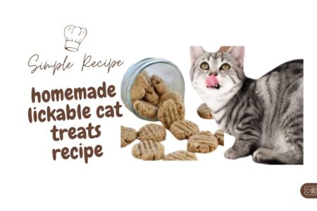 Cats can be finicky eaters, but one thing many feline friends love is lickable treats. These tasty and satisfying treats offer a delightful experience for your cat, and making them at home can save money and ensure they're made with quality ingredients. This comprehensive guide covers everything you need to know about homemade lickable cat treats, from recipes and preparation to storage and safety tips. What Are Lickable Cat Treats? Lickable cat treats are soft, often liquid or semi-liquid treats designed for cats to lap up. They’re a great way to give your cat a tasty reward, provide hydration, or simply make mealtime more enjoyable. Homemade versions allow you to control the ingredients, avoiding preservatives and additives found in commercial treats. Benefits of Homemade Lickable Cat Treats Quality Control: Use fresh, high-quality ingredients. Customization: Tailor recipes to suit your cat’s preferences or dietary needs. Cost-Effective: Save money compared to store-bought treats. Healthier Options: Avoid artificial additives and preservatives. Essential Ingredients for Lickable Cat Treats The basic ingredients for lickable cat treats include: Protein Source: Chicken, tuna, or liver Liquid: Water or broth Optional Add-Ins: Vegetables or fish pieces Popular Homemade Lickable Cat Treat Recipes Here are some easy and delicious recipes for homemade lickable cat treats: 1. Simple Chicken Lickable Treats Ingredients: 1 chicken breast (or alternative protein) Water Directions: Boil Chicken: Fill a pot with enough water to cover the chicken. Bring to a boil and add the chicken. Cook for 5-6 minutes, or until the chicken is fully cooked through. Prepare Chicken: Cut the chicken into small pieces for easier processing. Blend: Use a blender or food processor to puree the chicken with some of the cooking water until smooth. Store: Transfer the mixture to an airtight container. Store in the fridge for up to 3 days. 2. Churu Copycat Treats Ingredients: 4 oz. chicken 4 tablespoons water Directions: Prepare Chicken: Measure out 4 oz. of chicken.Fill a pot with enough water to cover the chicken and bring it to a boil. Cook Chicken: Add the chicken and cook for 5-6 minutes, or until no longer pink in the center. Blend: Cut the chicken into small pieces and blend with 4 tablespoons of water until smooth. Bottle: Pour into a plastic squeeze bottle using a funnel. Cut the tip of the bottle to make the hole slightly larger. Comparative Table: Store-Bought vs. Homemade Lickable Cat Treats Feature Store-Bought Lickable Treats Homemade Lickable Treats Ingredients May contain additives Fresh and customizable Cost Higher Lower Quality Control Less control Full control Preparation Time Ready-to-serve Requires preparation Storage Often has a long shelf life Shorter shelf life FAQs About Homemade Lickable Cat Treats Can I use any type of meat for lickable treats? A: Yes, you can use chicken, turkey, beef, or fish. Ensure the meat is cooked and free from seasoning or additives. How long do homemade lickable cat treats last? A: They typically last 3-5 days in the refrigerator. For longer storage, you can freeze them in small portions. Can I use canned food in these recipes? A: Yes, you can substitute canned cat food for the protein source in some recipes. Ensure it is suitable for your cat's dietary needs. What if my cat is allergic to certain ingredients? A: Substitute any allergenic ingredients with alternatives like rice flour instead of wheat flour or use hypoallergenic proteins like lamb or duck. Tips for Making Lickable Cat Treats Use Fresh Ingredients: Fresh meat or fish ensures a tastier treat. Avoid Seasonings: Do not add salt, garlic, or other seasonings that can be harmful to cats. Monitor Consistency: The treat should be smooth and paste-like, similar to commercial lickable treats. Portion Control: Serve treats in moderation to avoid overfeeding. Storage and Handling Refrigeration: Store homemade treats in an airtight container in the refrigerator. Freezing: For longer storage, freeze in small portions and thaw before serving. Hygiene: Always use clean utensils and containers to prevent contamination. Conclusion Making homemade lickable cat treats is a rewarding way to show your feline friend just how much you care. With these simple recipes and tips, you can create nutritious, delicious treats that cater to your cat's tastes and dietary needs. Not only will your cat appreciate the effort, but you'll also enjoy the peace of mind that comes with knowing exactly what goes into their treats.