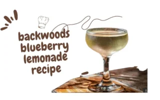 backwoods blueberry lemonade recipe