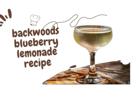 backwoods blueberry lemonade recipe