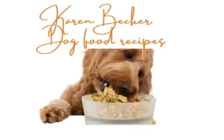 karen becker dog food recipes