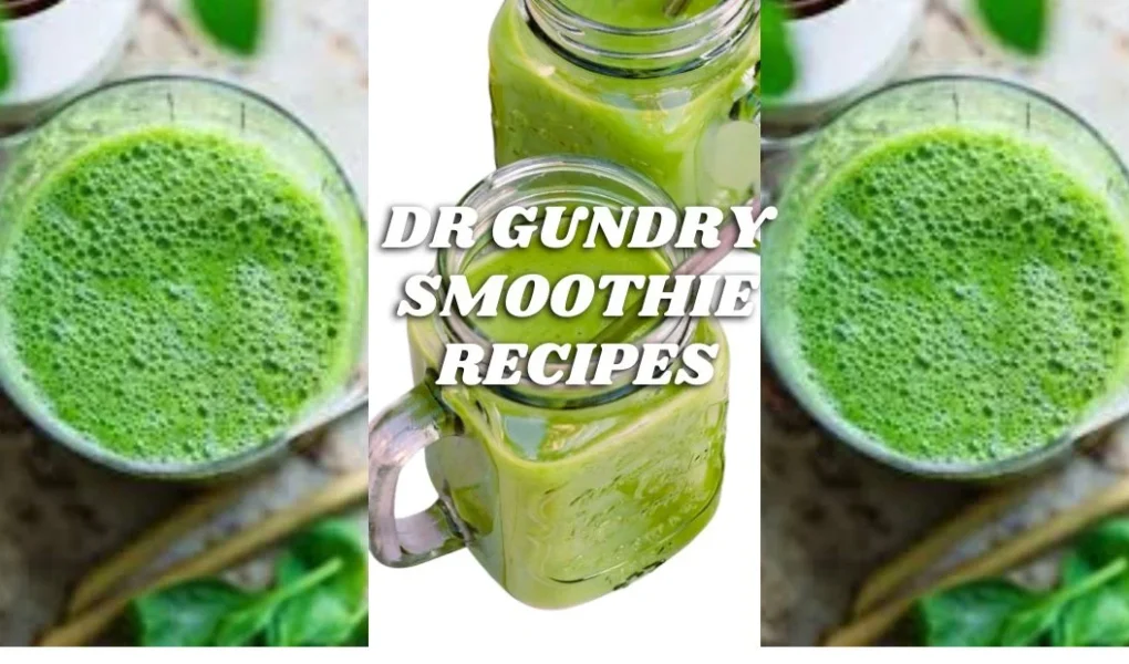 dr gundry smoothie recipes