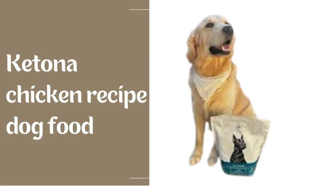 ketona chicken recipe dog food