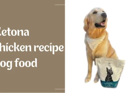 ketona chicken recipe dog food