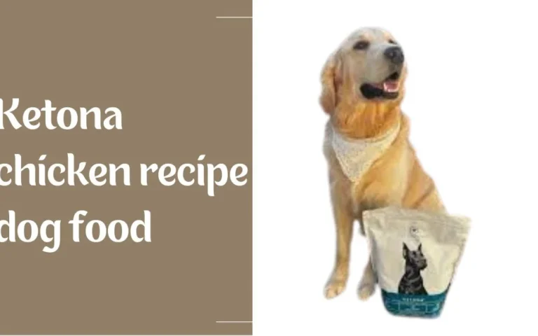 ketona chicken recipe dog food