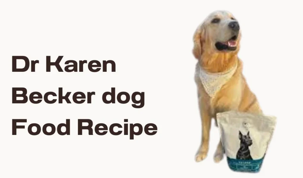 dr karen becker dog food recipe