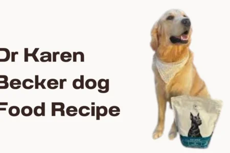 dr karen becker dog food recipe