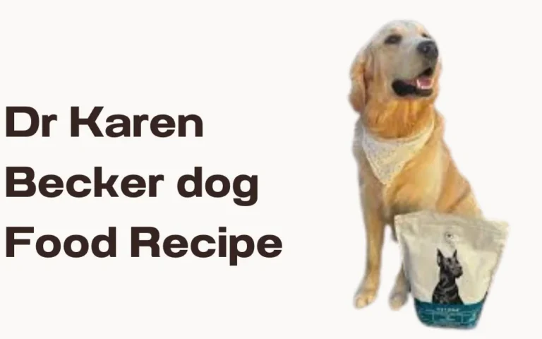 dr karen becker dog food recipe