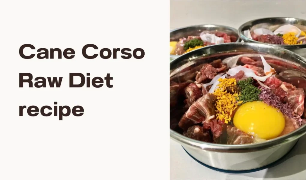 cane corso raw diet recipe