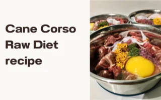 cane corso raw diet recipe