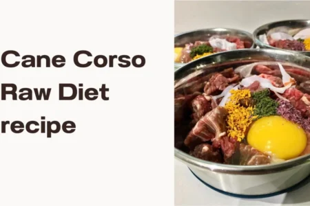 cane corso raw diet recipe