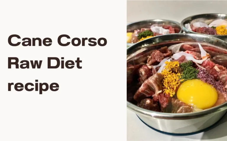 cane corso raw diet recipe