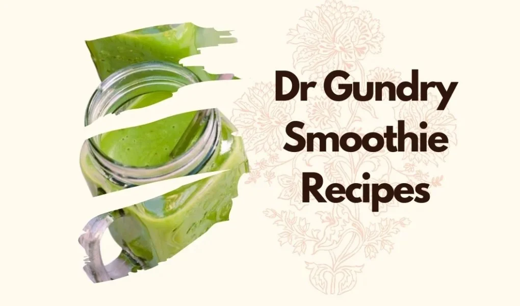 dr gundry smoothie recipes