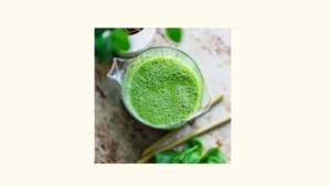 dr gundry smoothie recipes