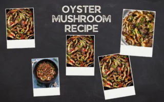 oyster mushroom recipe