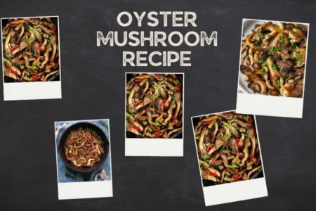 oyster mushroom recipe