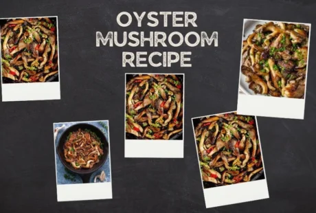 oyster mushroom recipe