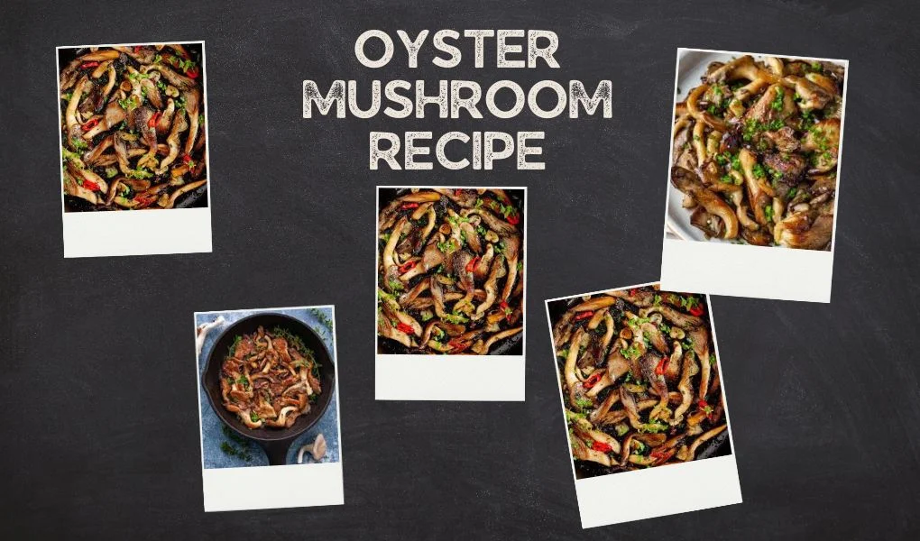 oyster mushroom recipe