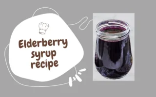 dried elderberry syrup recipe