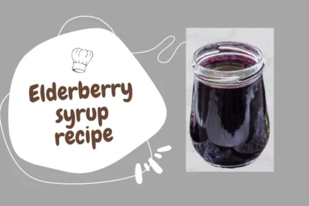 dried elderberry syrup recipe