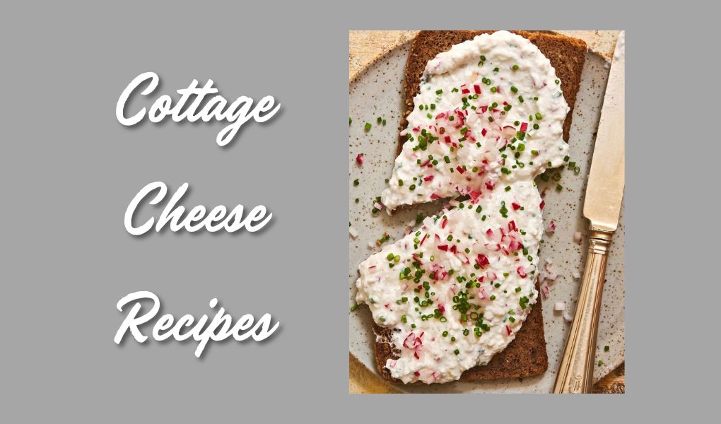 cottage cheese recipes