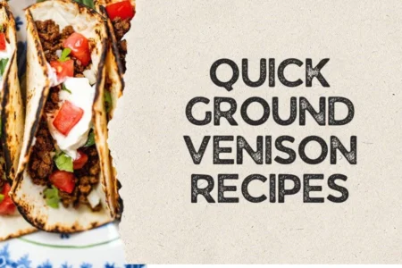 quick ground venison recipes