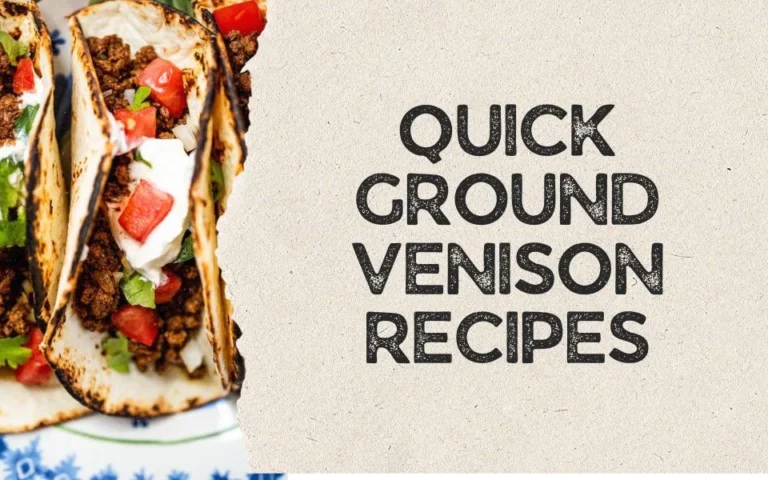 quick ground venison recipes